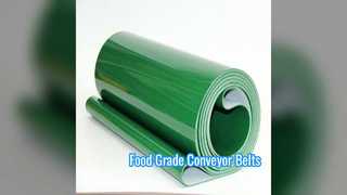 Food Grade Conveyor Belts For Automation